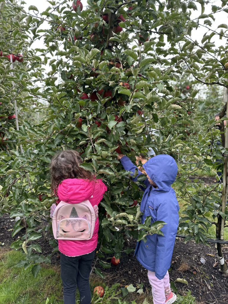 Girls apple picking