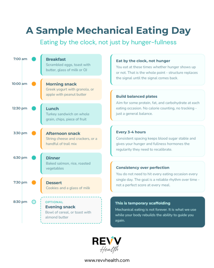 mechanical eating schedule